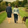 Incorporating Movement into Your Daily Routine: Easy Tips for Healthy Weight Loss